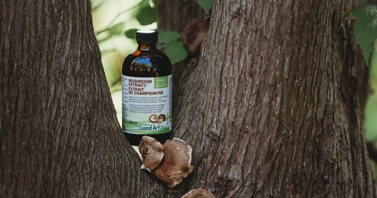 CONCOURS EXPO MANGER SANTÉ x LANDART